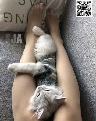双性人bbww欧美双性_高清在线视频观看
